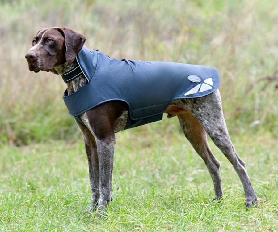 Weatherbeeta Explorer Dog Coat Lite image 0